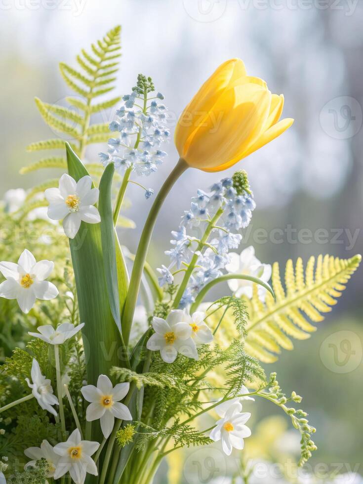 A stunning display of spring flowers, a bright yellow tulip with delicate white daffodils in full bloom. photo