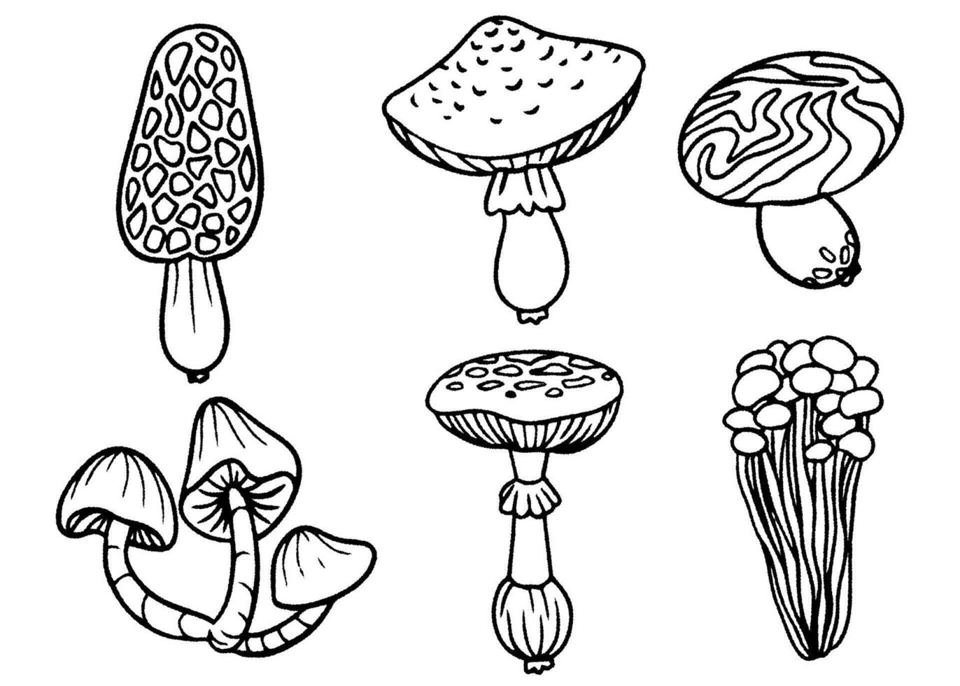 Mushroom doodle icon set. Hand drawn illustration of edible mushrooms. Sketch style fungi collection for food design, packaging and organic products. vector