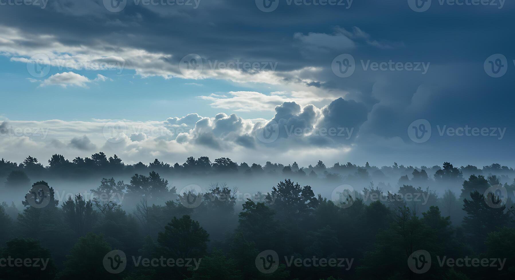 A large forest with trees and clouds photo