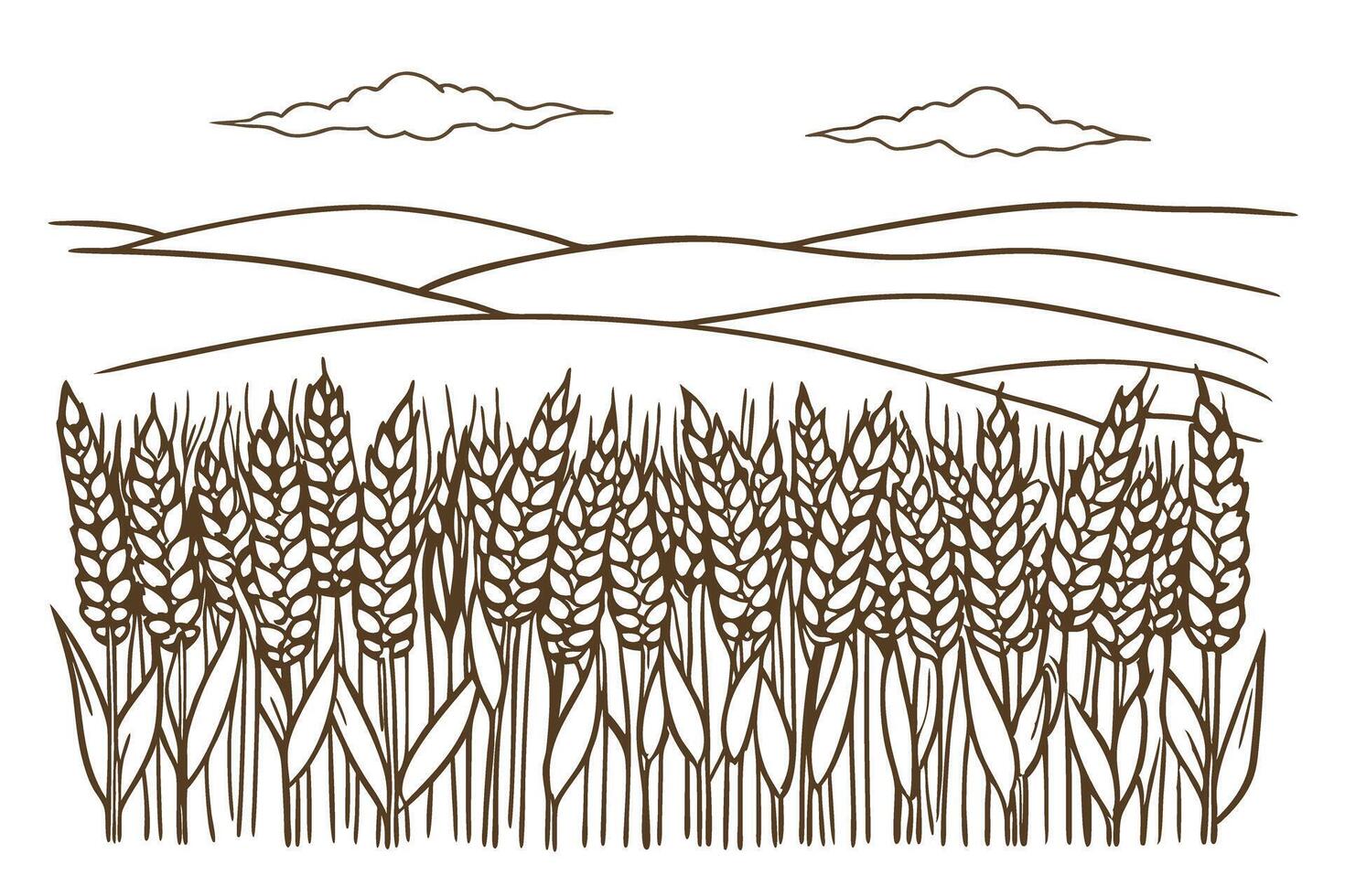 Hand drawn wheat field illustration with rolling hills and clouds in rustic landscape vector