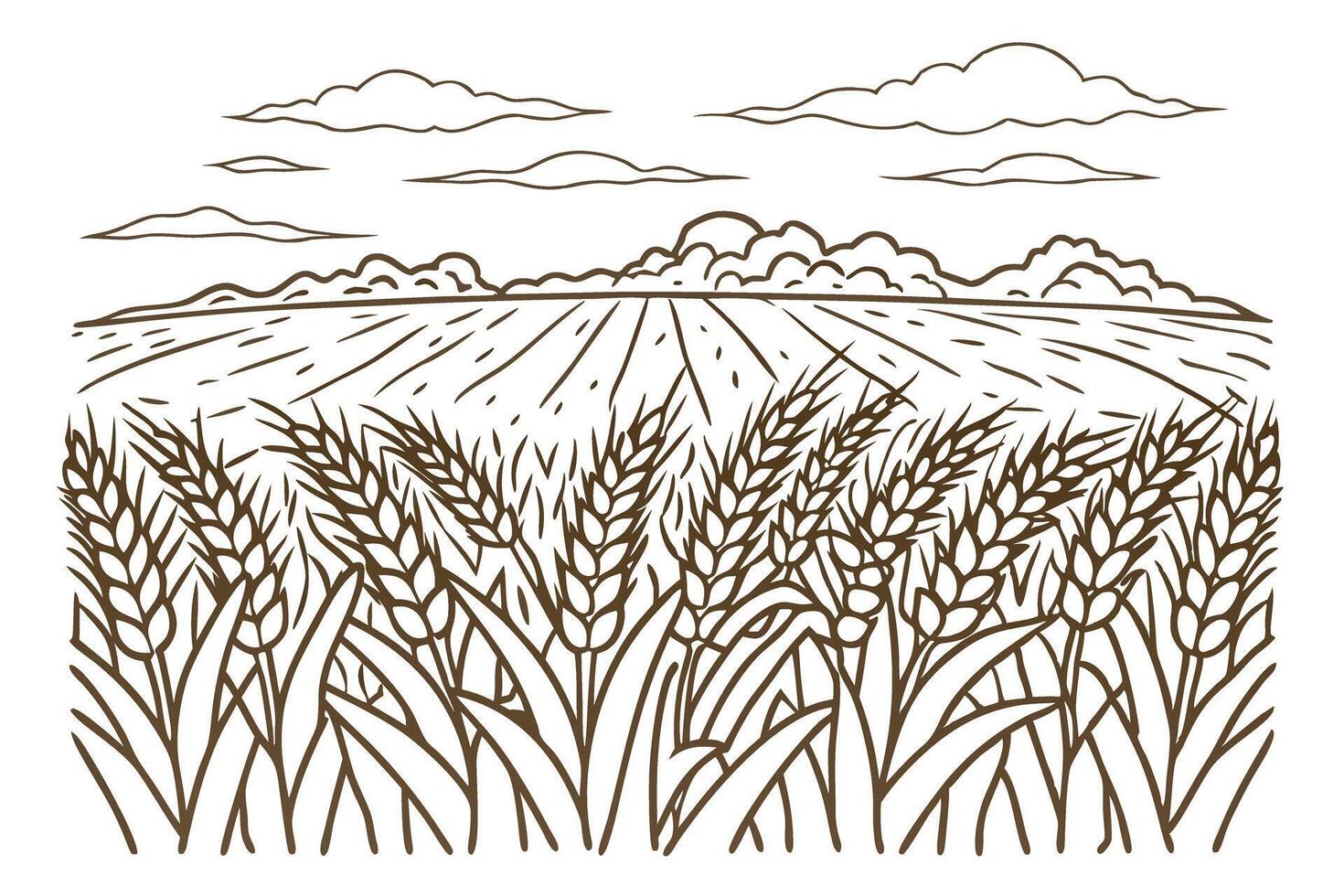 Wheat field with clouds, nature landscape, agricultural harvest, rural scene, farm vector