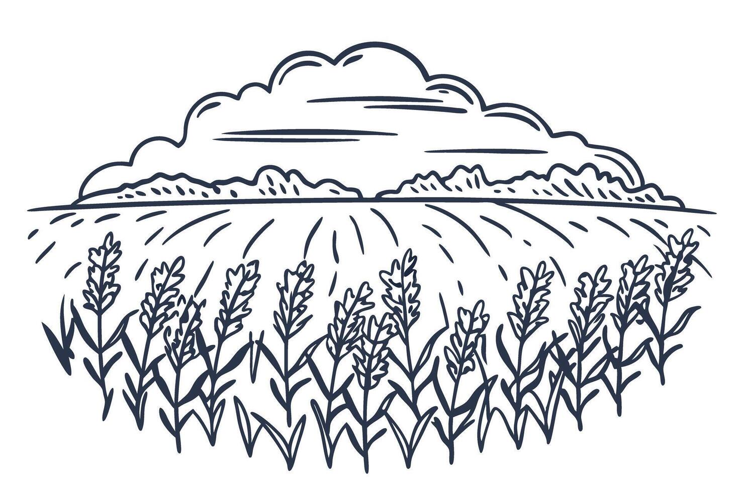 Wheat field illustration with cloudy sky in countryside setting vector