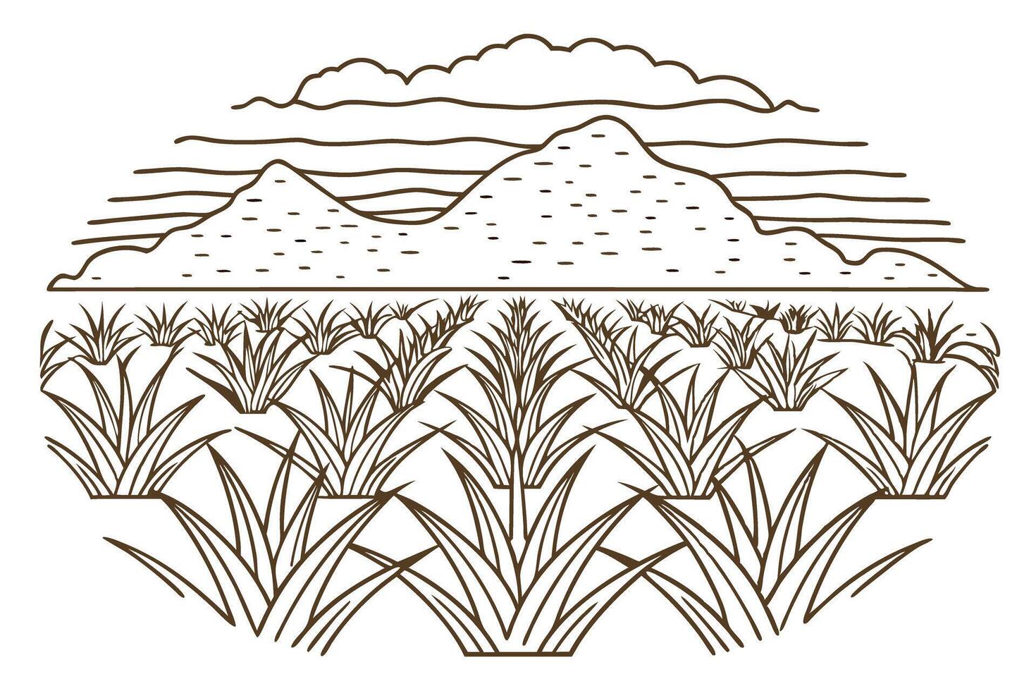 agave field landscape illustration with mountains and sky in background, linear art vector