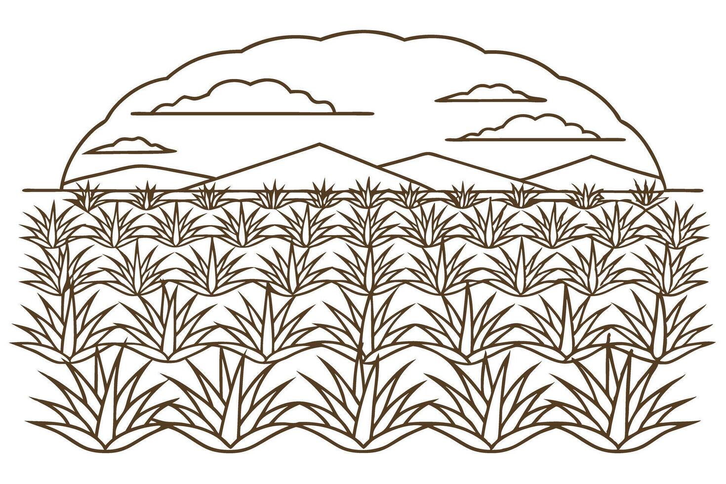 Agave plantation landscape with mountains and clouds line art illustration vector