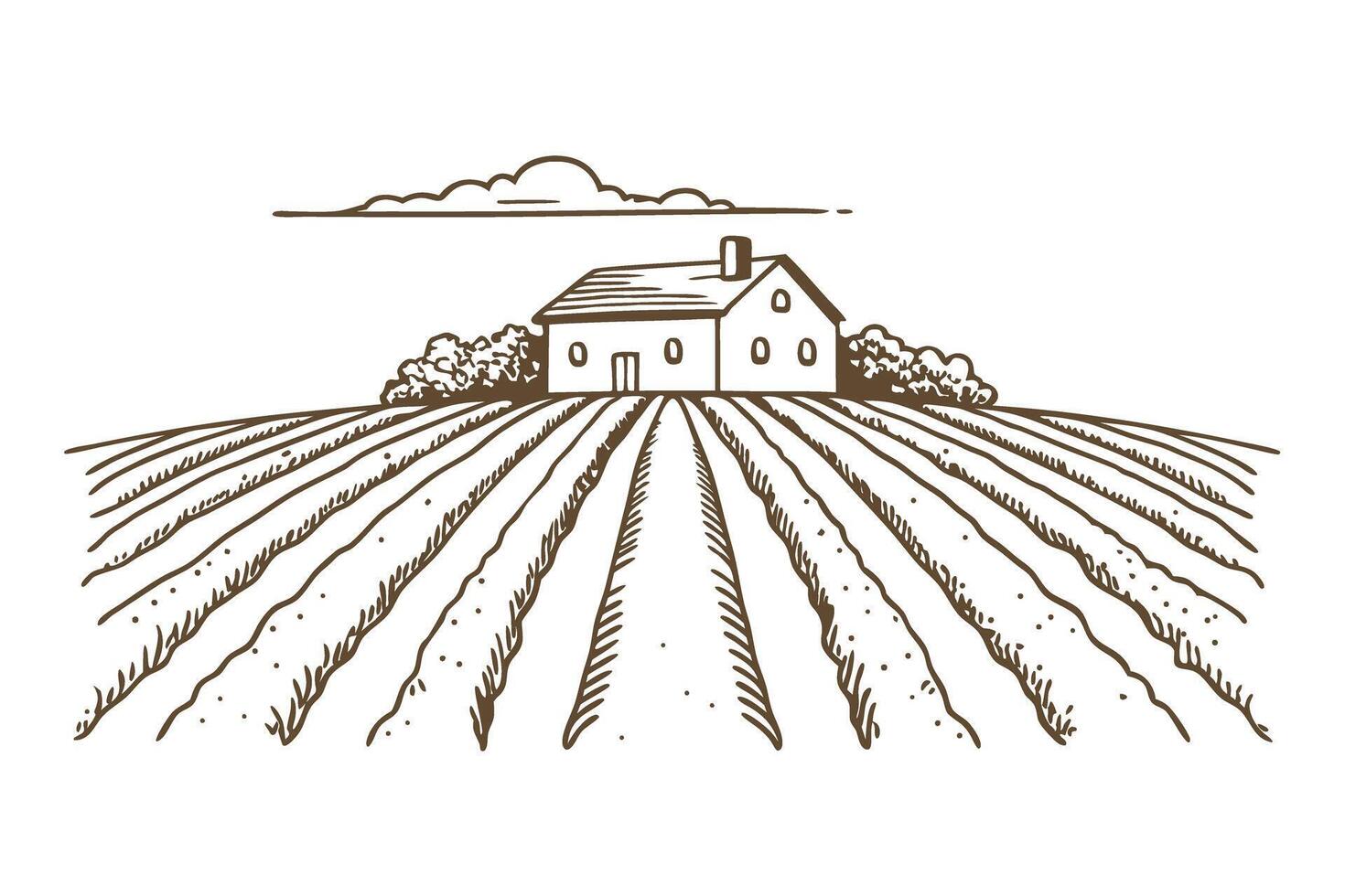 Rustic farmhouse landscape with cultivated fields and cloudy sky in vintage illustration vector