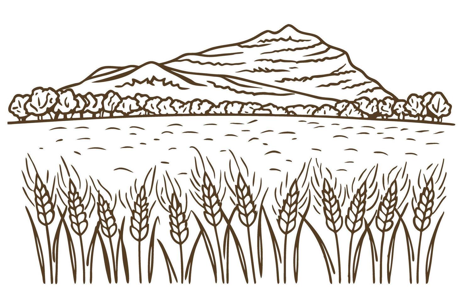 Wheat field and mountain landscape nature illustration with trees and agriculture theme vector