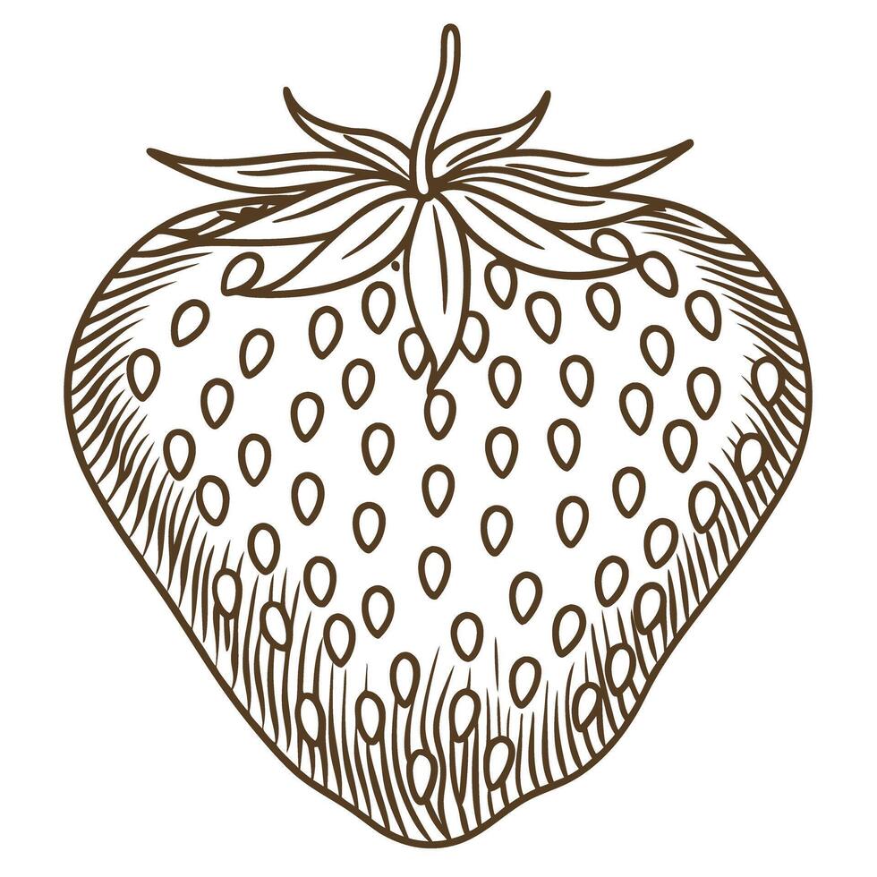 Intricate line art of a single strawberry with detailed seeds and leaves vector