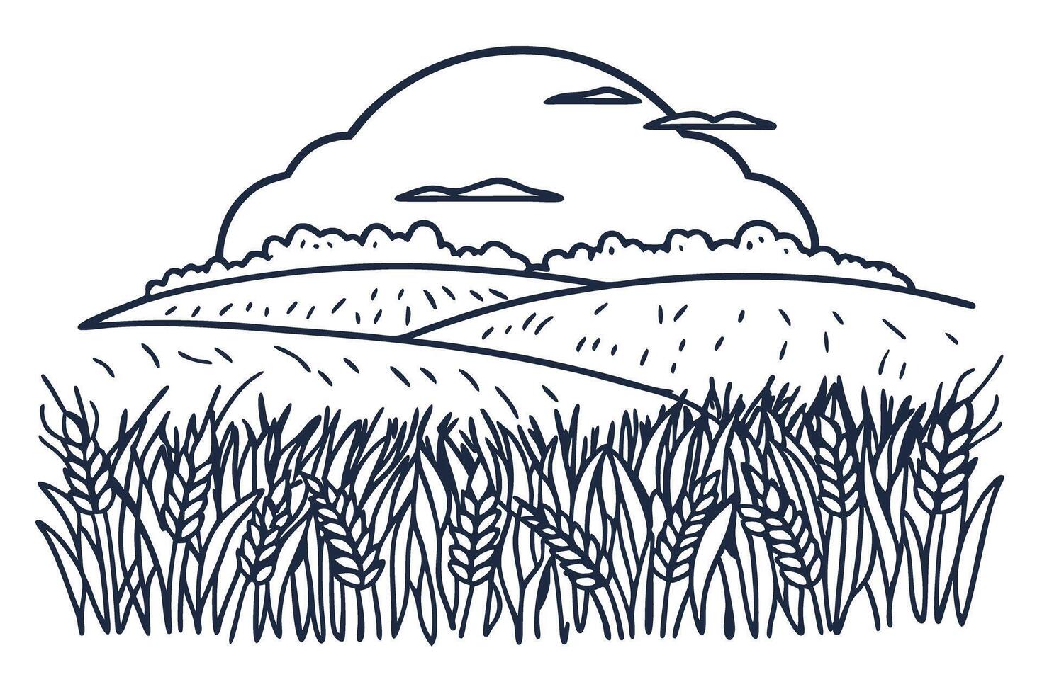 Wheat fields under cloudy sky idyllic countryside landscape with rolling hills and horizon vector