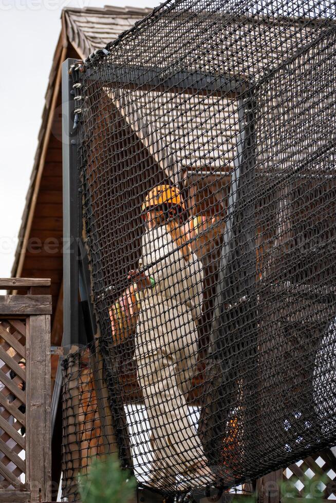 Baseball Player Practice Cage Outdoor Protective Net photo