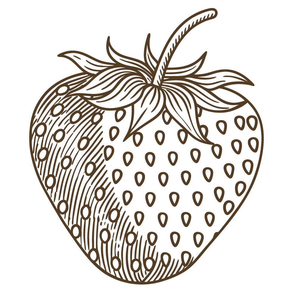 Detailed strawberry sketch in vintage with intricate line work and botanical elements vector