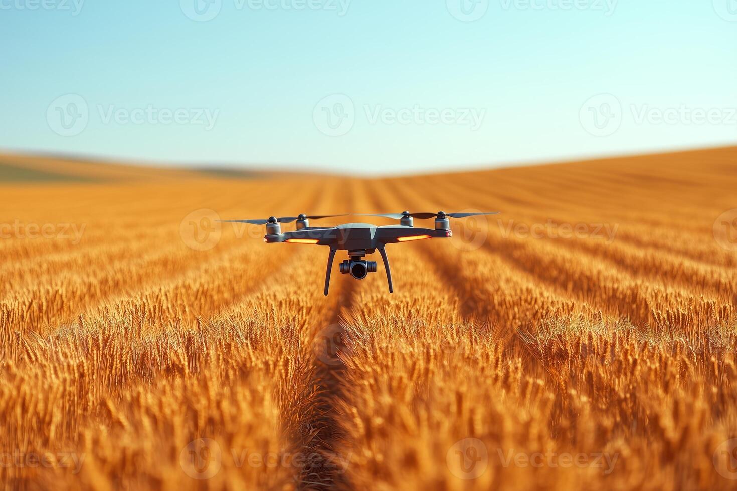 a drone flying over a large wheat field, capturing aerial data with visible camera equipment, golden crops and clear blue sky in the background, bright natural light photo