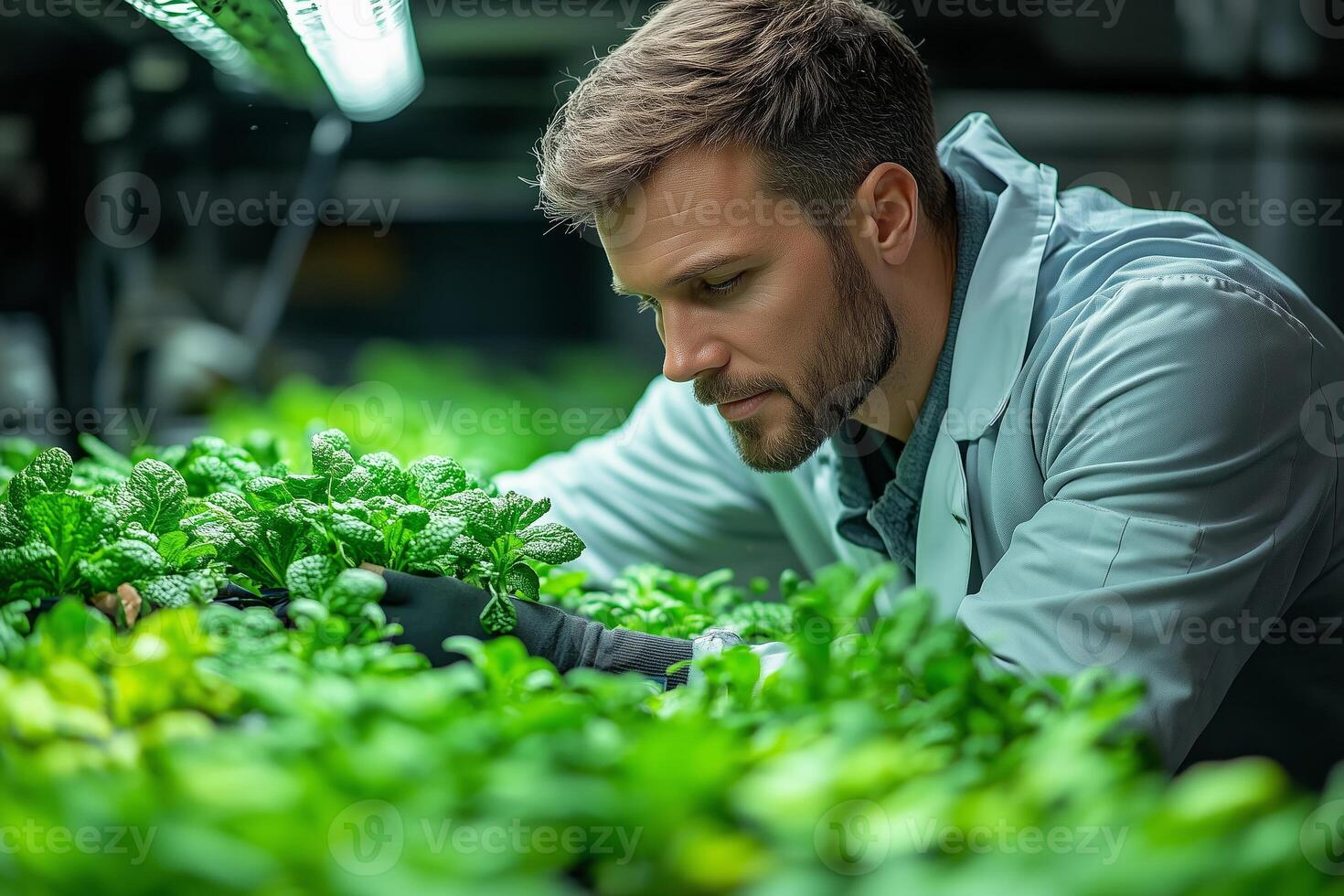 a scientist in a lab coat conducting quality checks on plants in a hydroponic facility photo