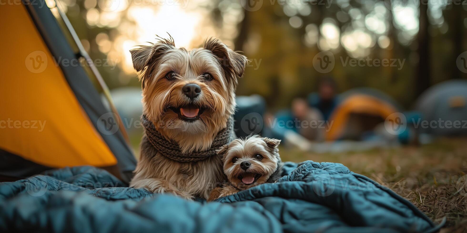 A family enjoys camping together, with a dog sitting on the lap photo