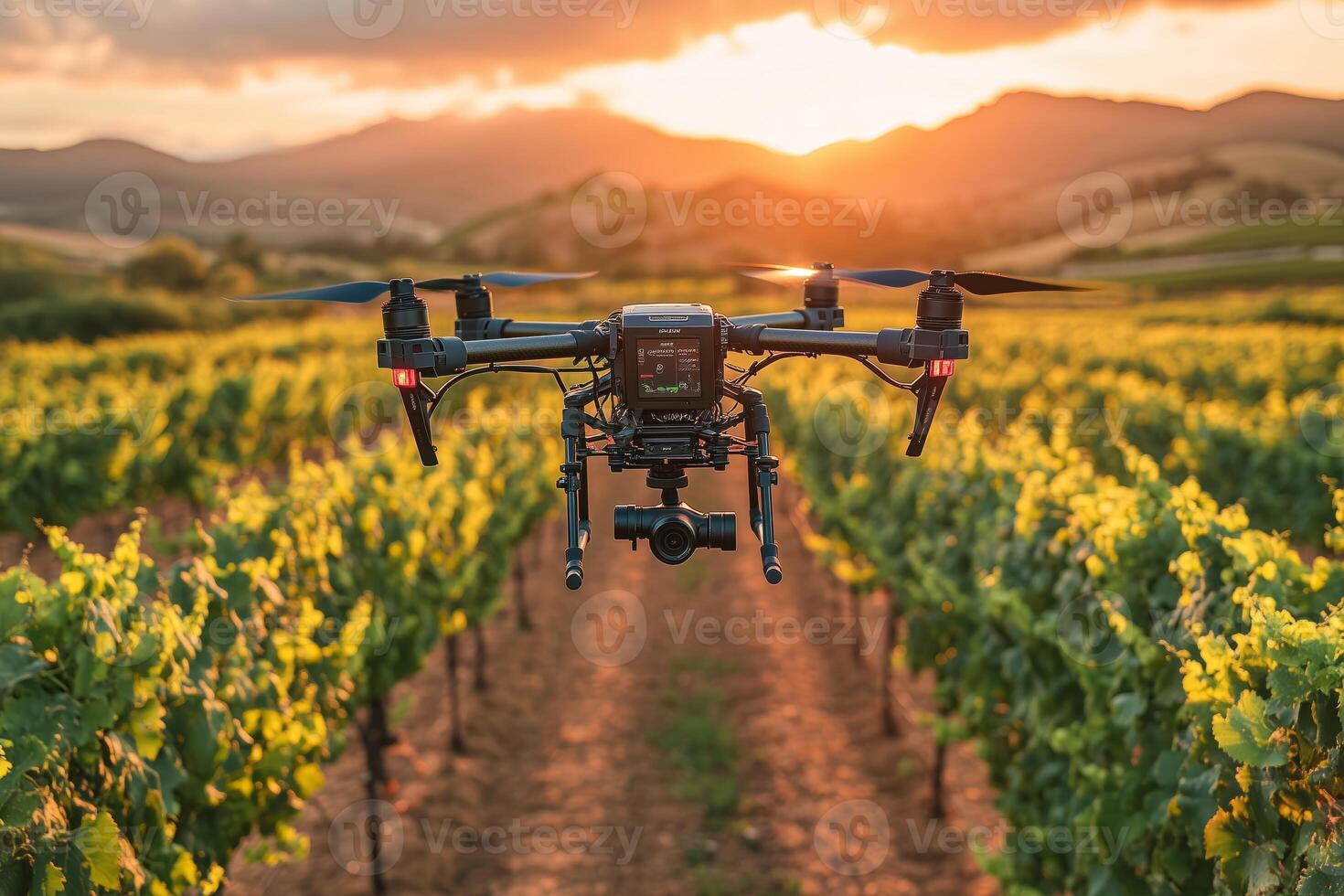 a drone hovering above a vineyard photo