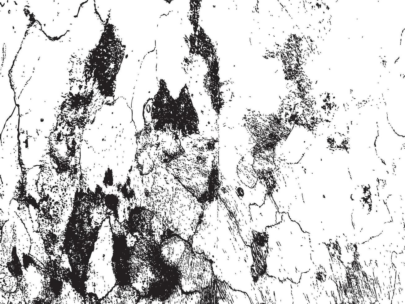 Abstract Black and White Crackled Texture Silhouette vector
