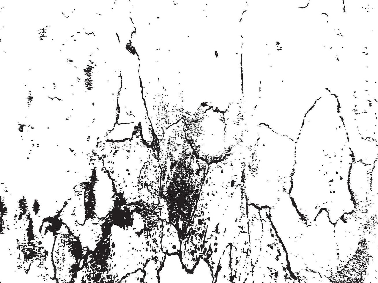 Abstract Black and White Crackle Texture Silhouette vector