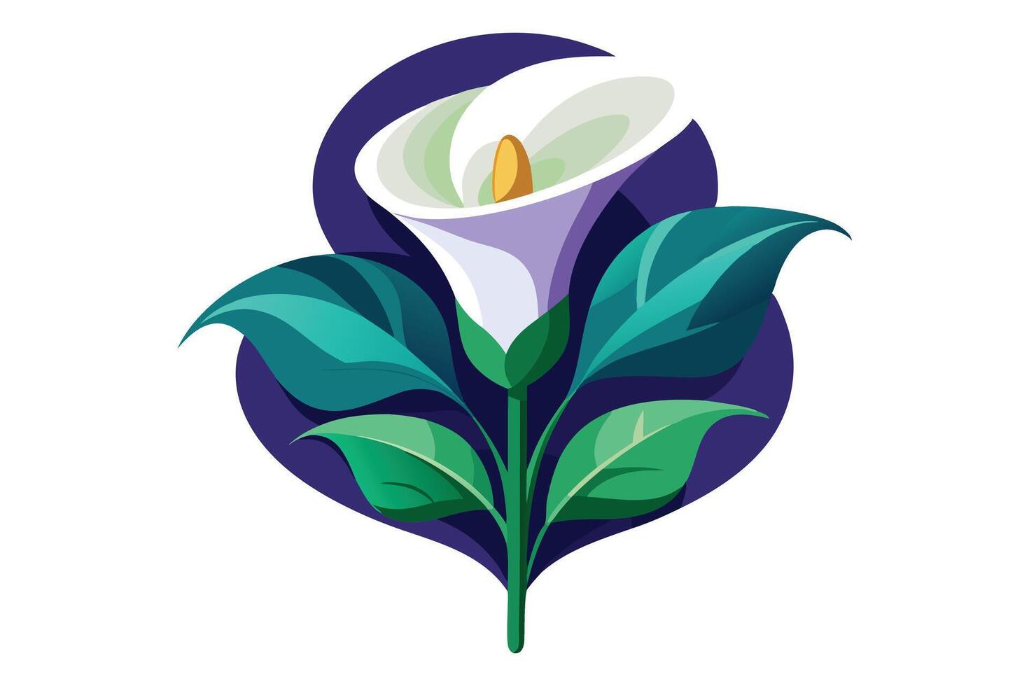 A Elegant Calla Lily Illustration on White Background vector