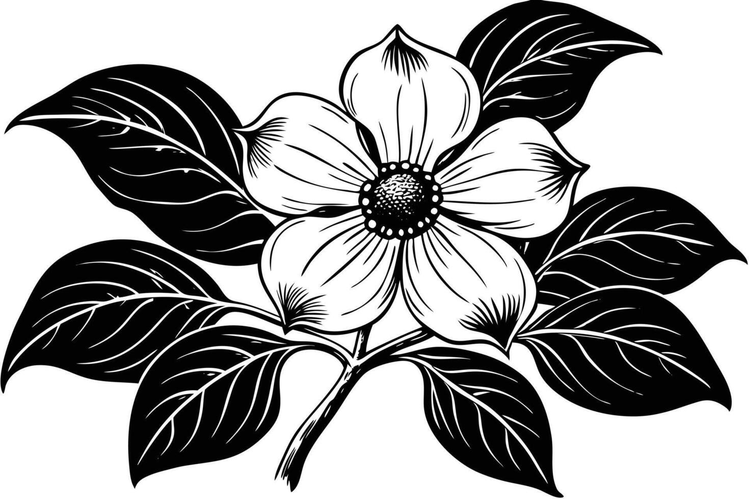 Black and White Illustration of a Southern Magnolia Flower vector