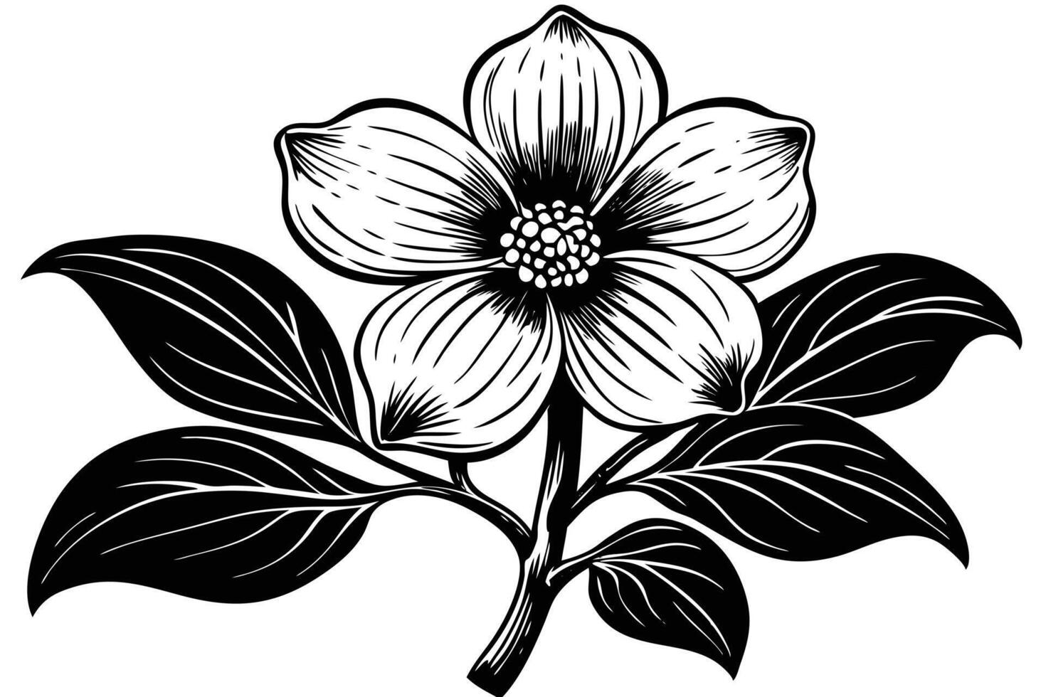 Elegant Black and White Illustration of a Southern Magnolia Flower vector
