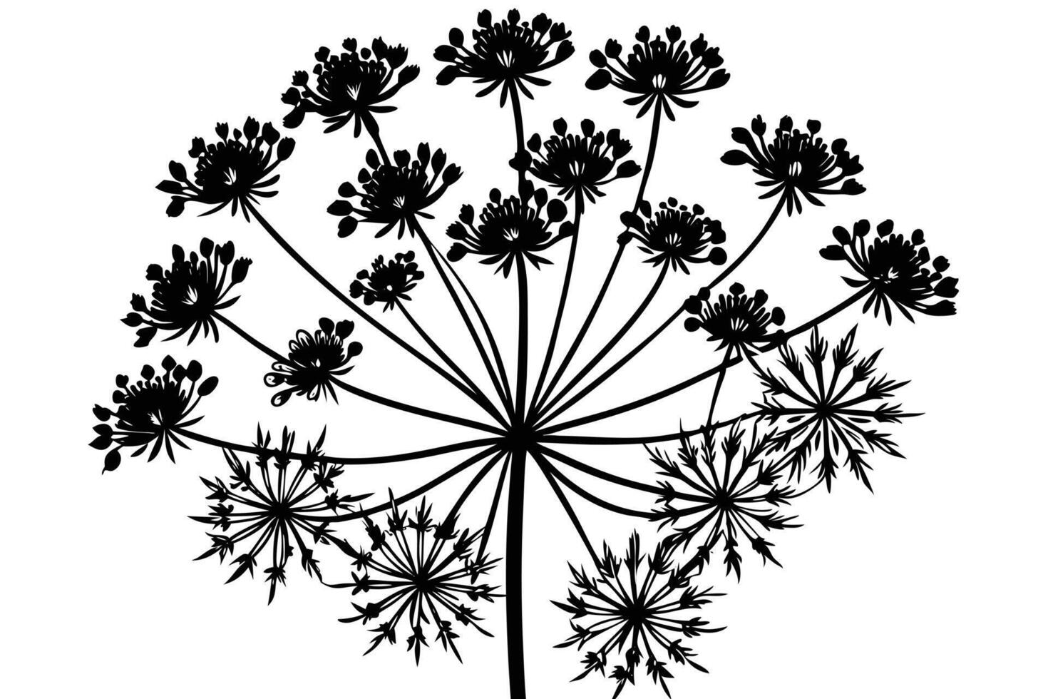 Elegant Black and White Silhouette of a Detailed Floral Design vector