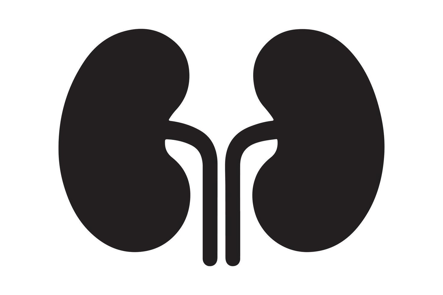 Simple black silhouette of a pair of kidneys vector
