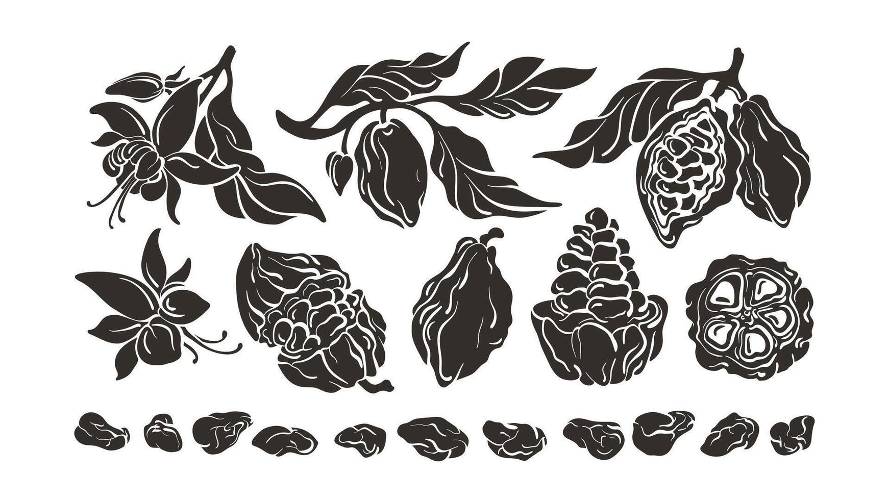 Cocoa set. Shape form. Botanical vector