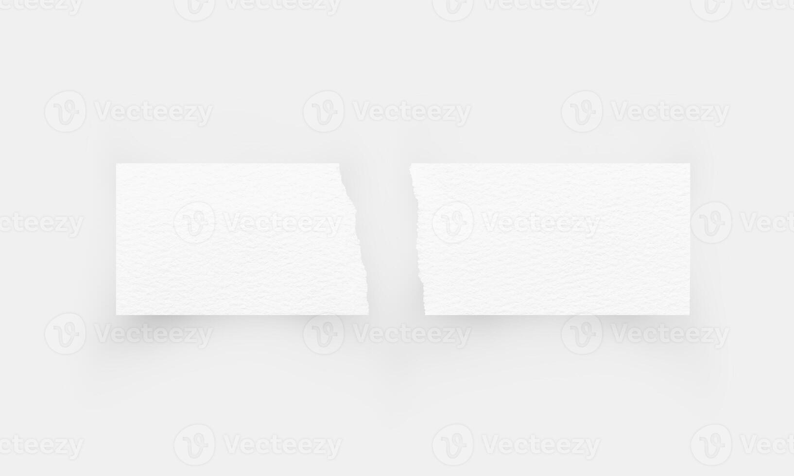 Torn paper edges. Ripped paper texture. Paper tag. White paper. photo