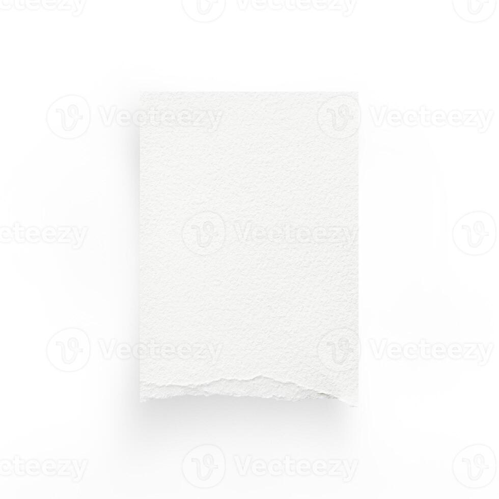 Torn paper edges. Ripped paper texture. Paper tag. White paper sheet for background with clipping path. Close up image. photo
