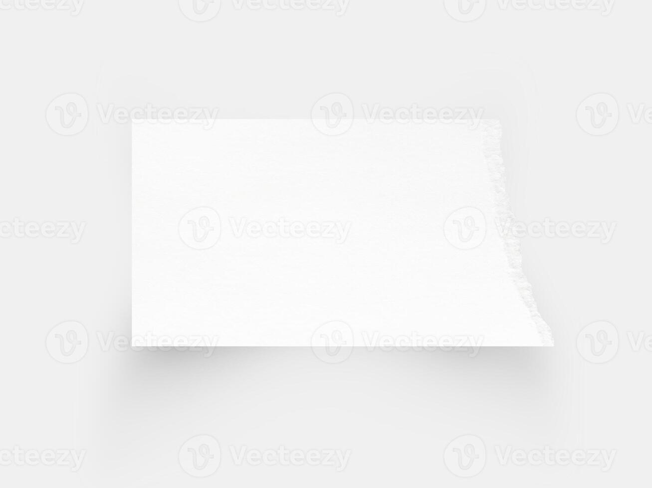 Torn paper edges. Ripped paper texture. Paper tag. White paper background with clipping path photo