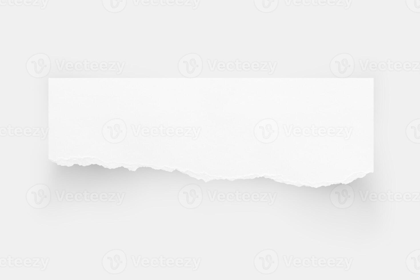 Torn paper edges. Ripped paper texture. Paper tag. White paper sheet for background with clipping path. Close up image photo
