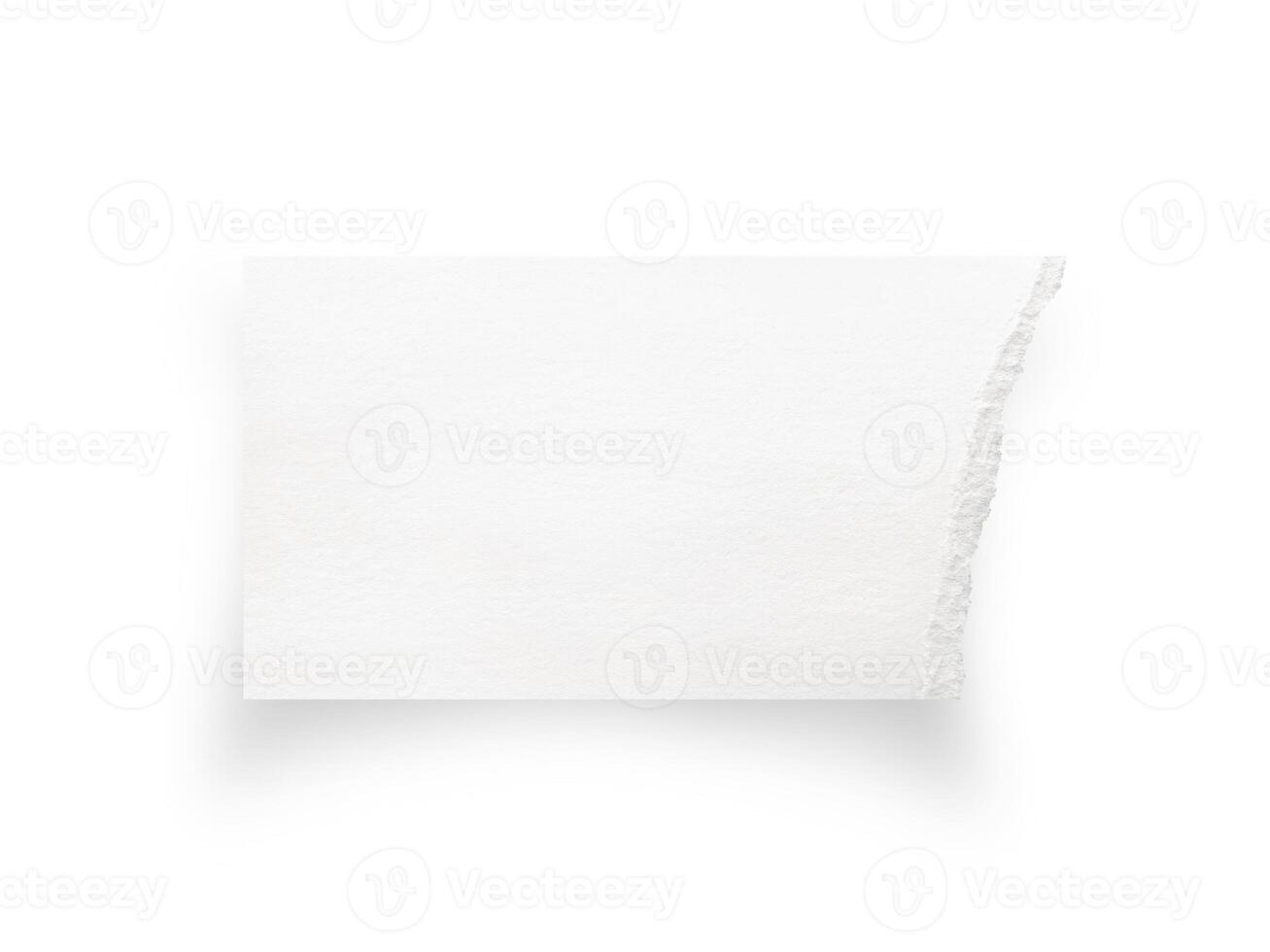Torn paper edges. Ripped paper texture. Paper tag. Paper background. photo