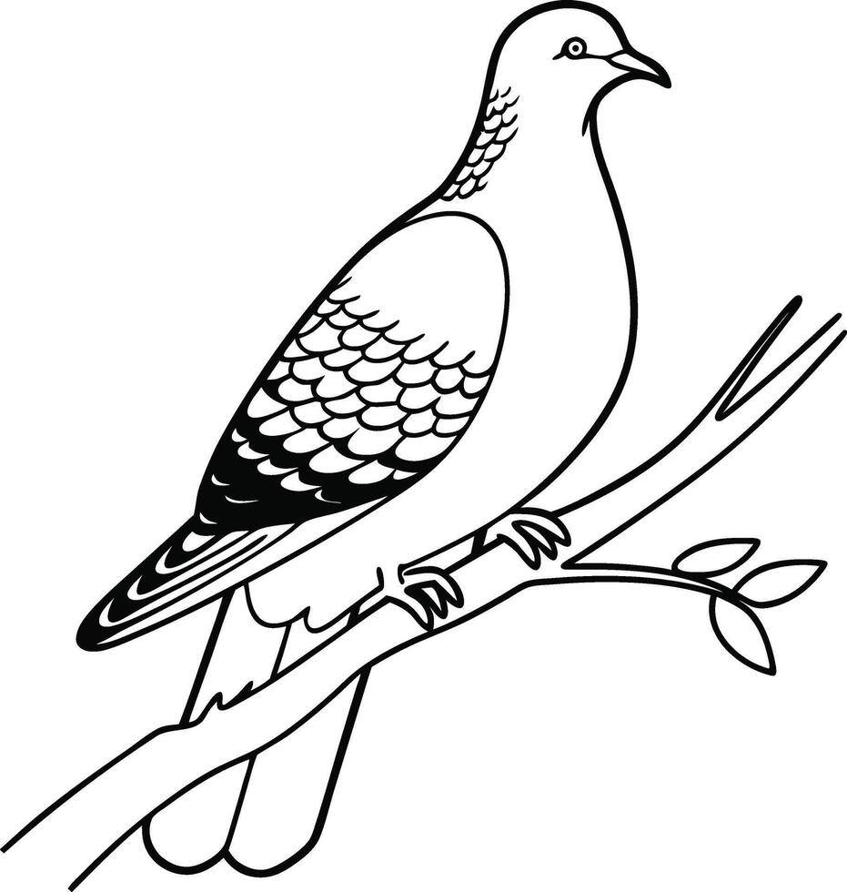 Line Art Pigeon Sitting on Tree Branch vector