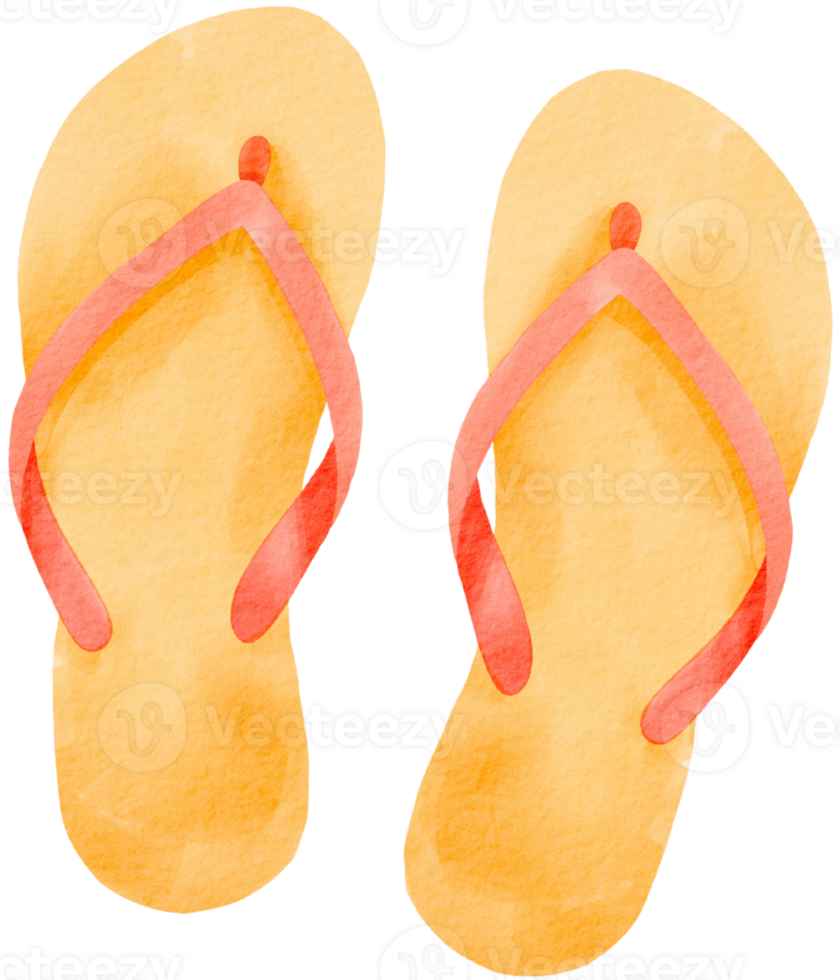 Yellow and orange flip flops png