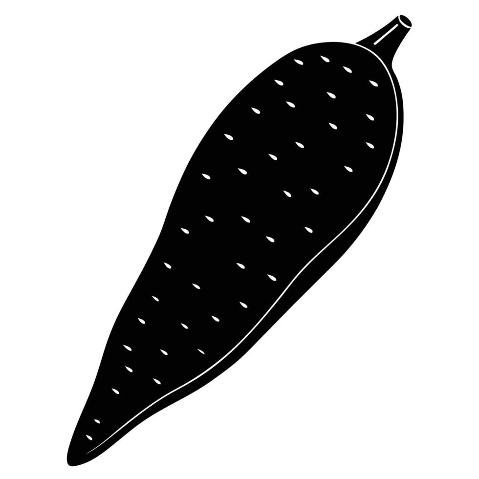a long tapered sweet potato with rough skin vector