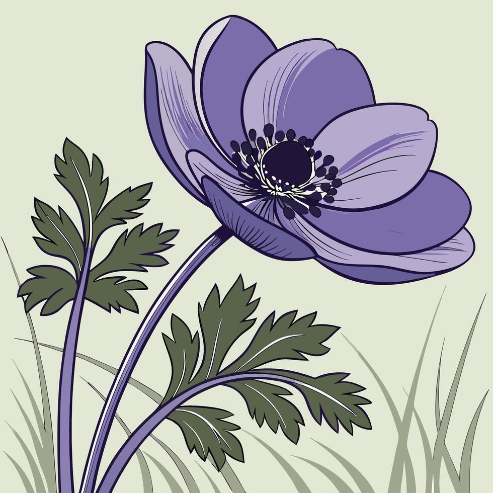 Bright Purple Anemone with Smooth Crisp Petals vector