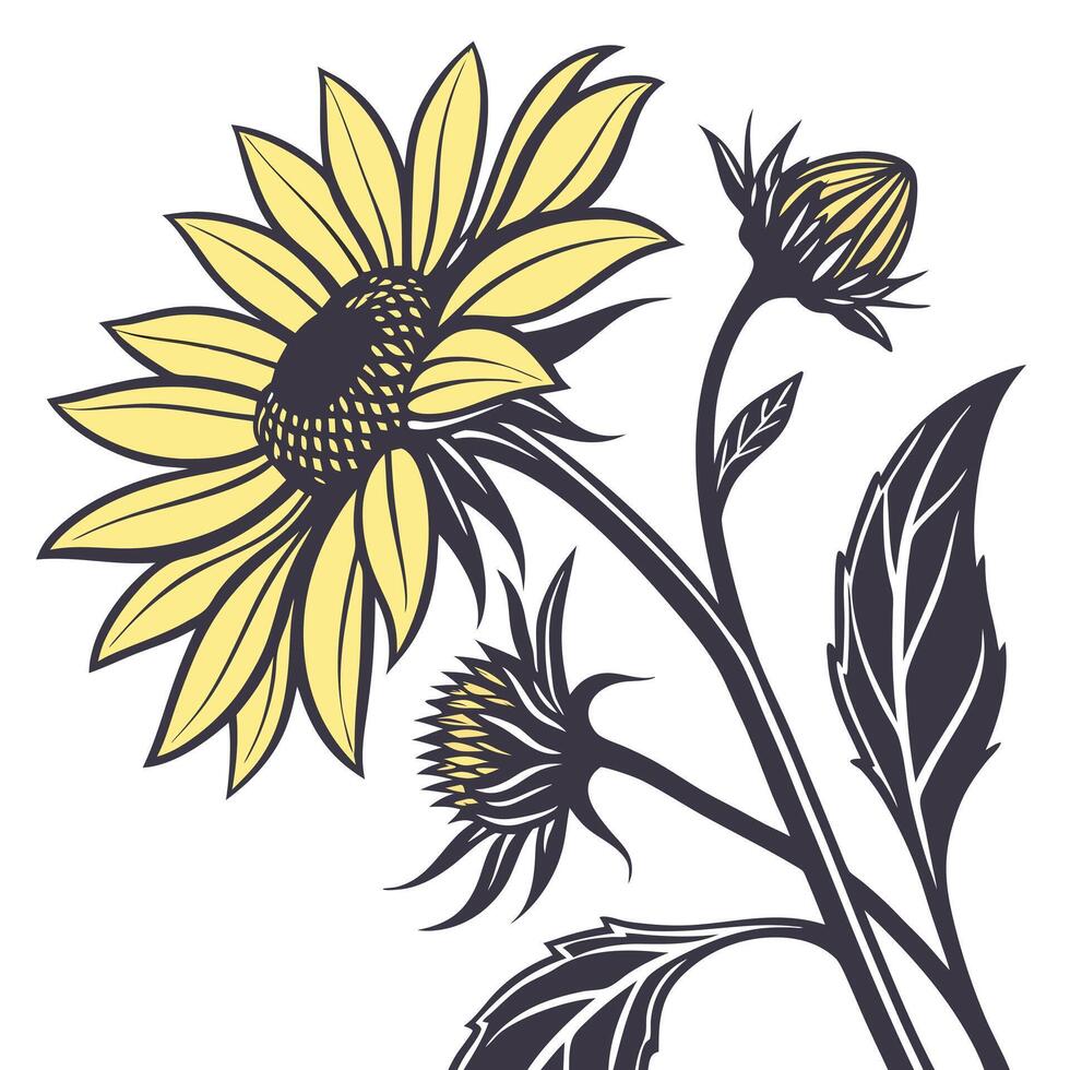 Deep Yellow Sunflower with Bold Sharp Petals vector