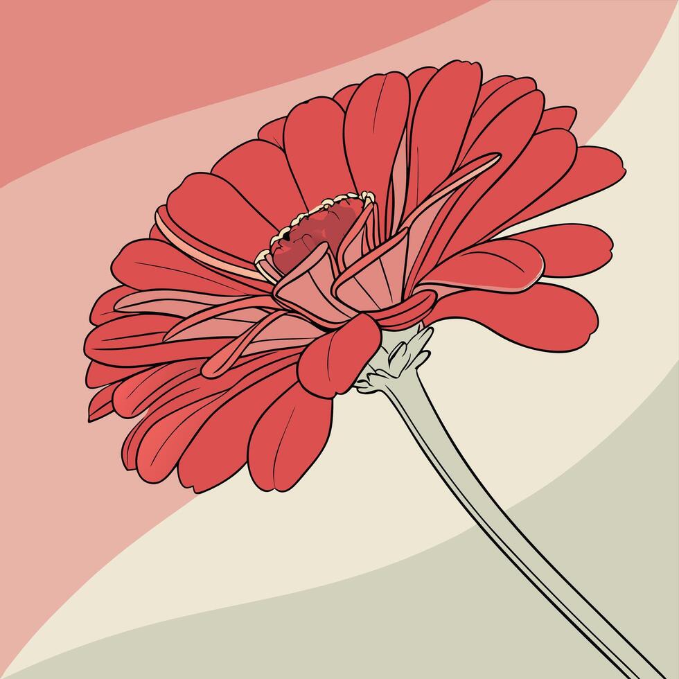 Bright Red Zinnia with Delicate Flat Petals vector