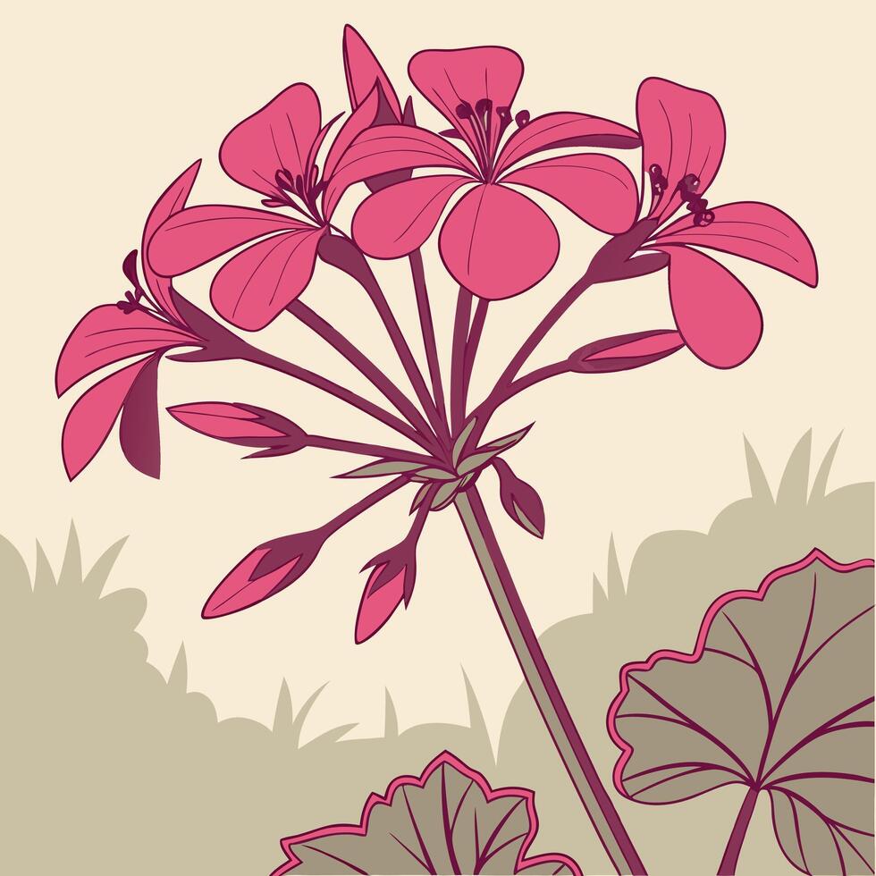 Bright Fuchsia Geranium with Sharp Pointed Petals vector