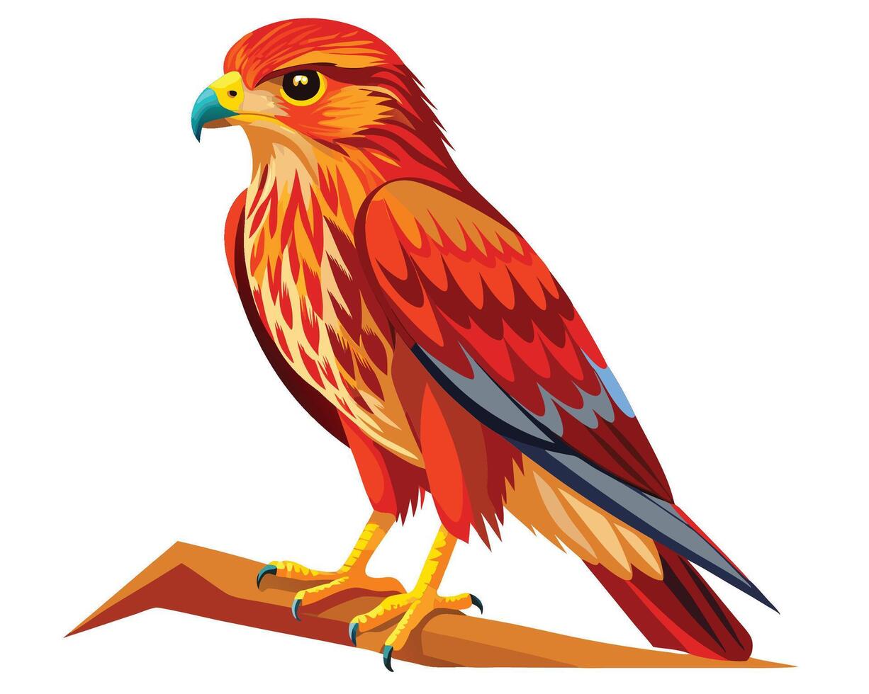 a delicate watercolor of a red shouldered hawk with sharp eyes vector