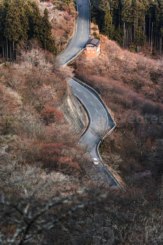 Car driving on winding road among cherry blossom in Mount Yoshino photo