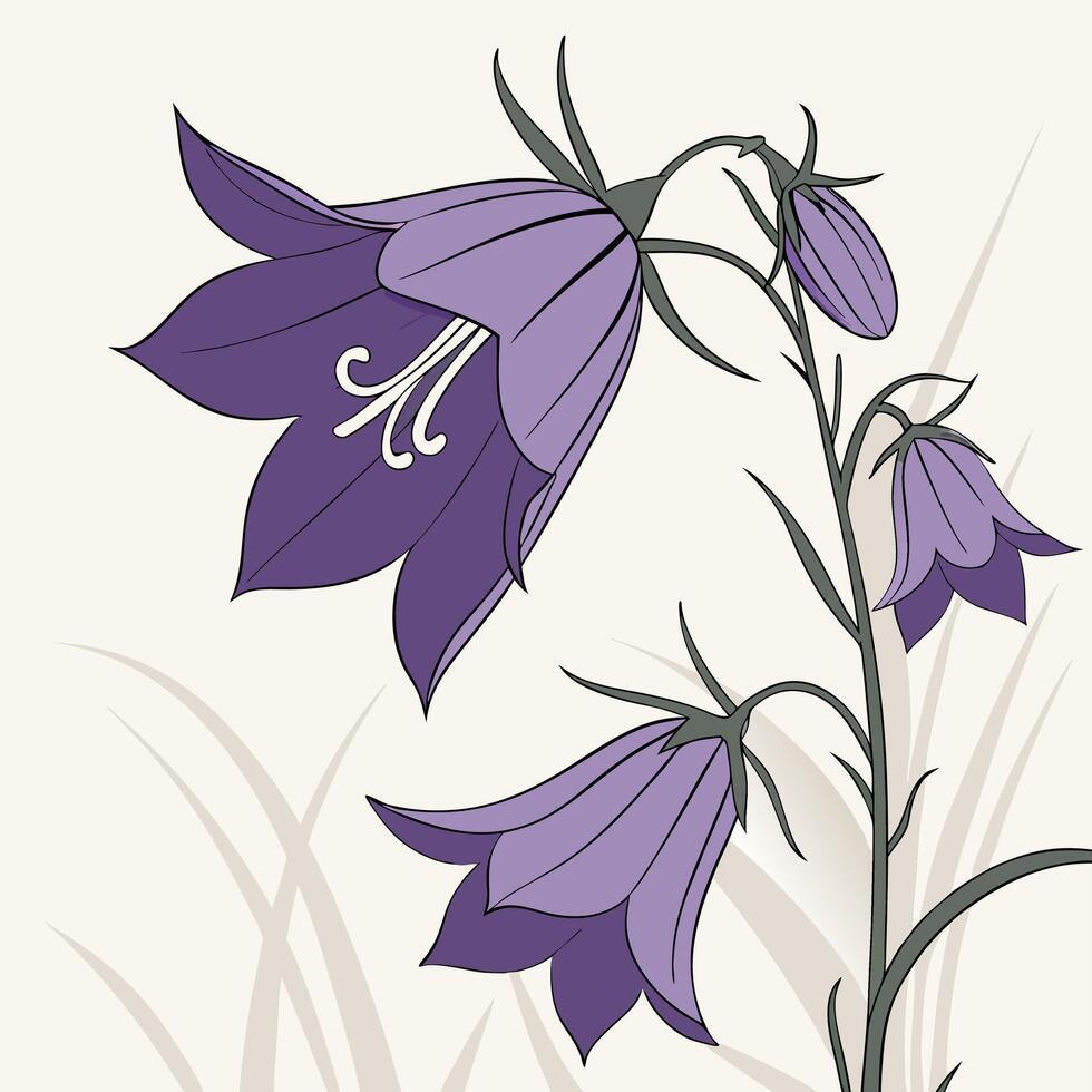 Deep Violet Bellflower with Long Hanging Petals vector