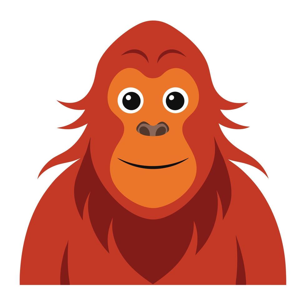 close up of a wise and dignified orangutan vector