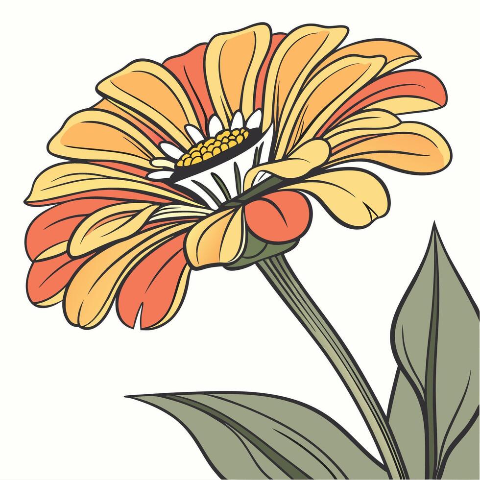 Bright Vibrant Zinnia with Crisp Symmetrical Petals vector