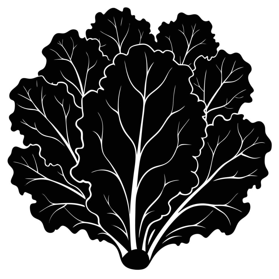 a cluster of kale leaves with ruffled edges vector
