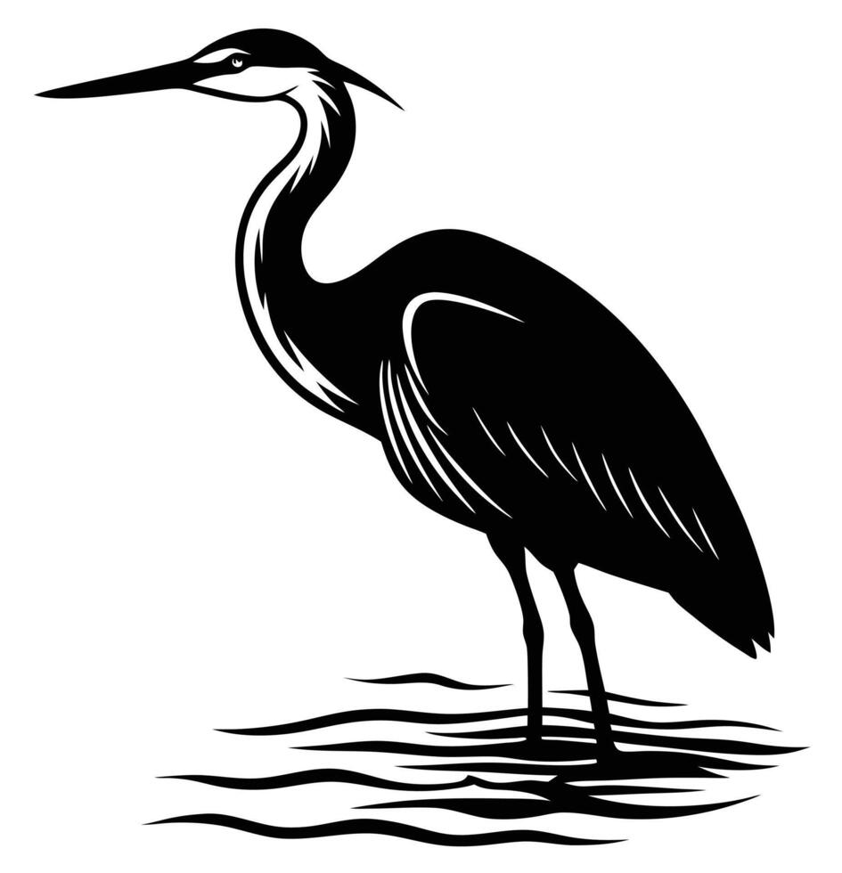 a heron standing still by the water's edge vector