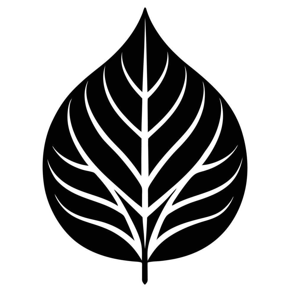 Leaf silhouette logo with delicate veins vector