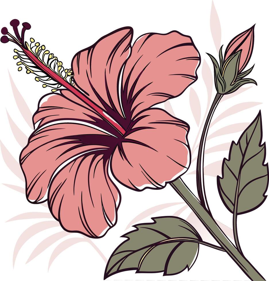 Vibrant Hibiscus with Wide Smooth Petals vector