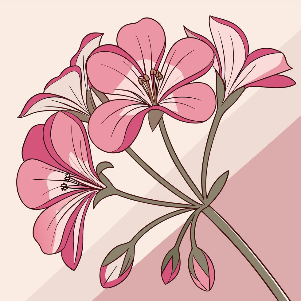 Vibrant Pink Geranium with Smooth Flowing Petals vector