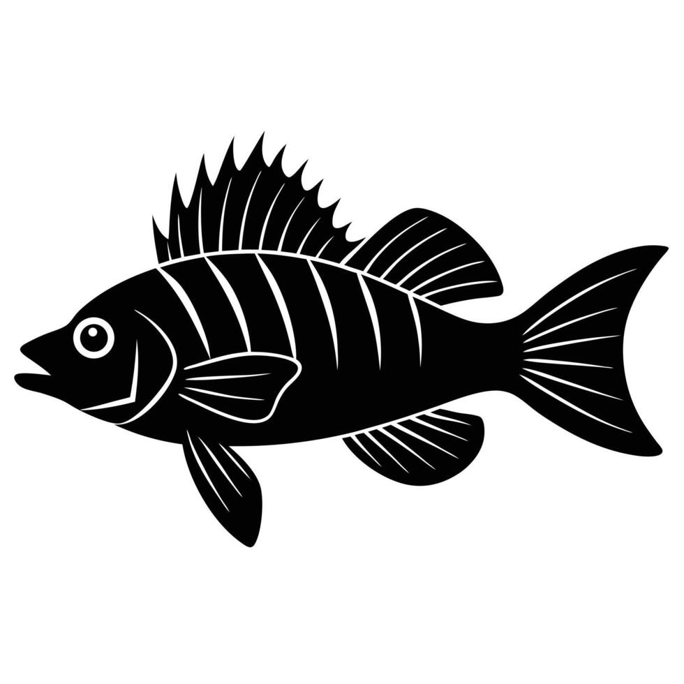 a silhouette of a perch fish with long fins vector