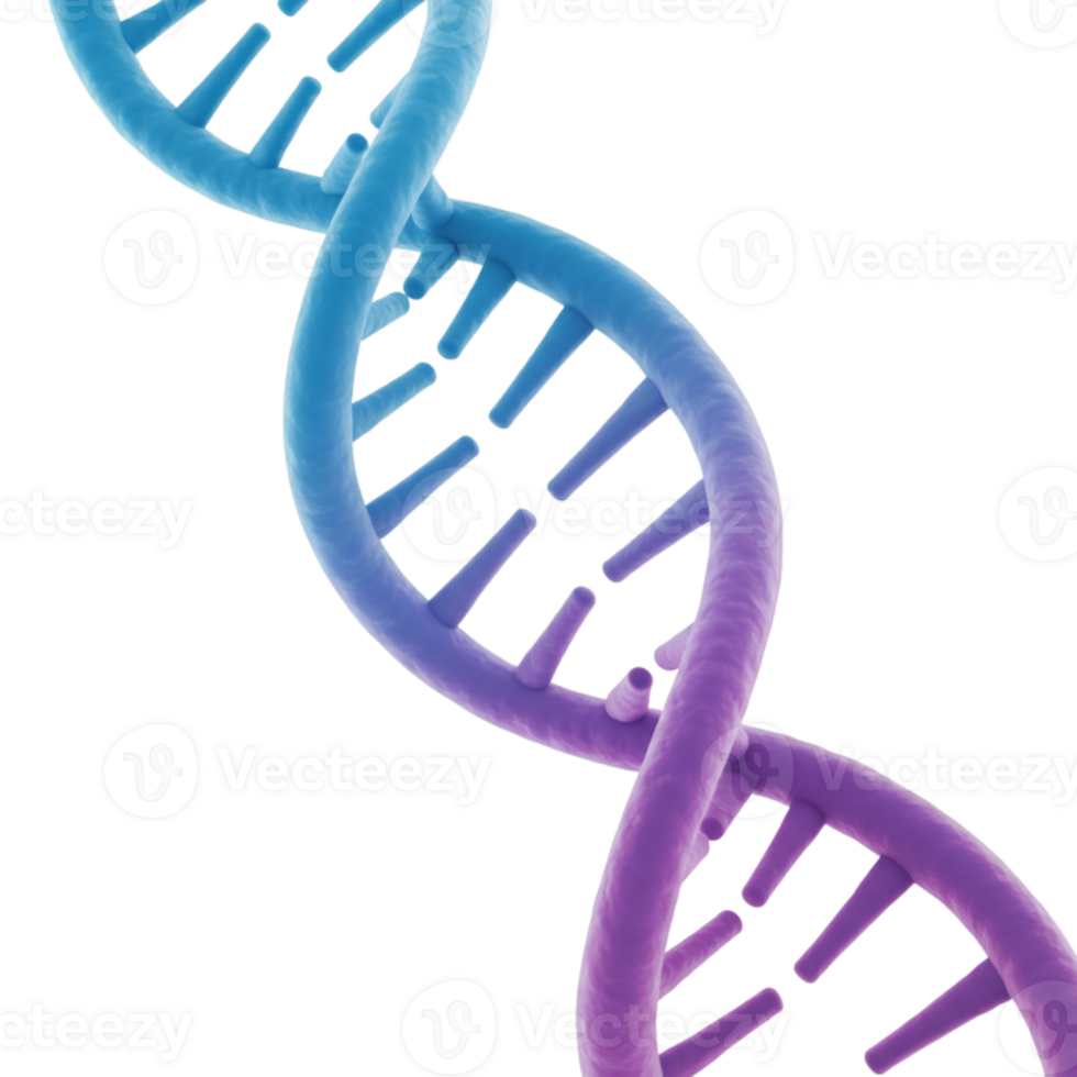 DNA molecule strand helix rotating on transparent background, science and technology png